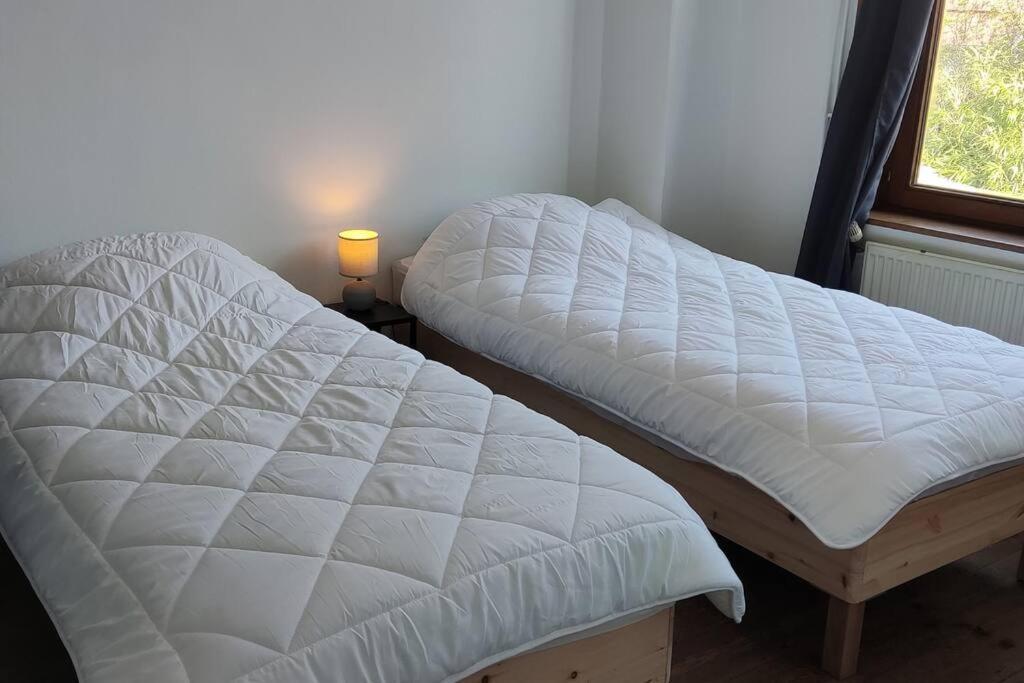 Maison Ronchin/Lille - Proche Toutes Commodites 외부 사진